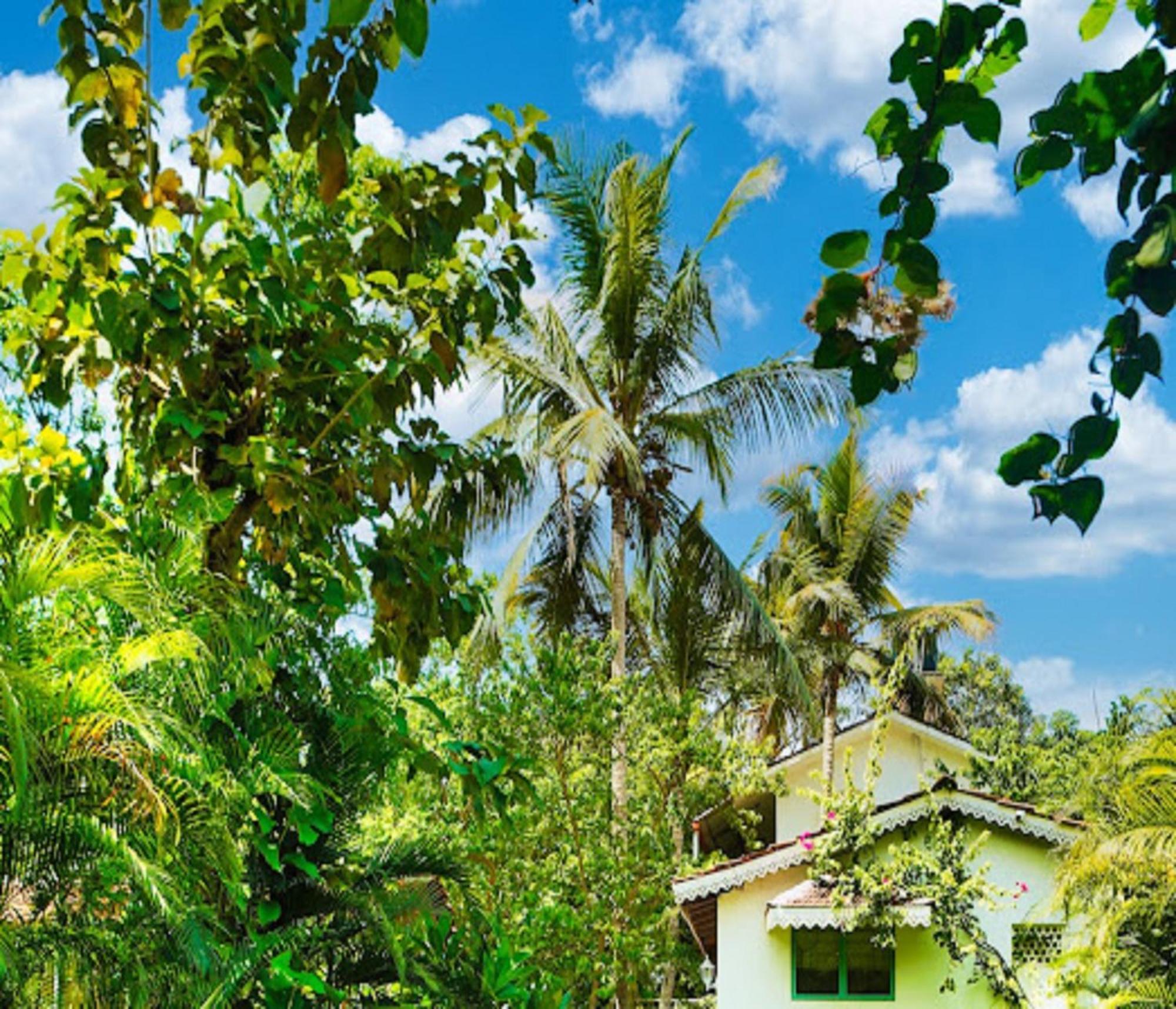 Lar Amorosa Boutique Hotel - Goa Calangute Zewnętrze zdjęcie